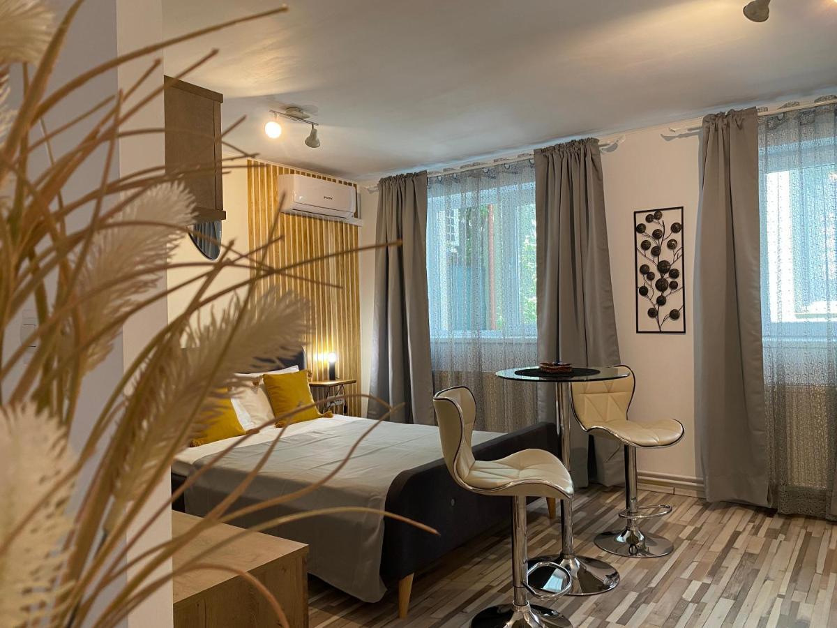 Urseni Studio Apartment Timişoara Buitenkant foto