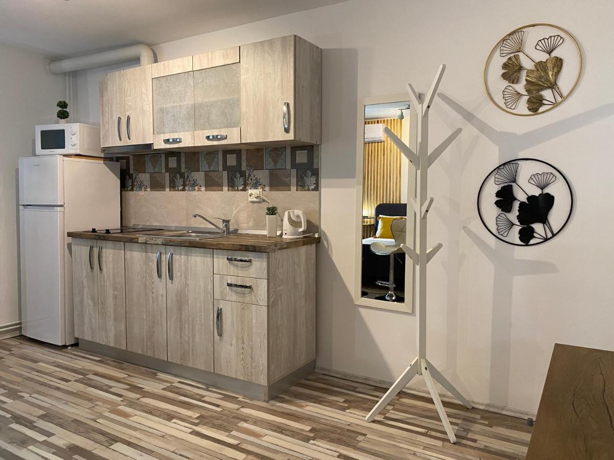 Urseni Studio Apartment Timişoara Buitenkant foto